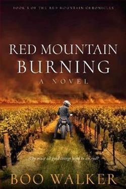 Red Mountain Burning by Boo Walker
