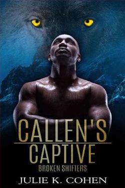 Callen's Captive by Julie K. Cohen