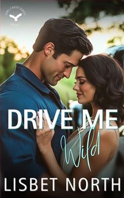 Drive Me Wild by Lisbet North