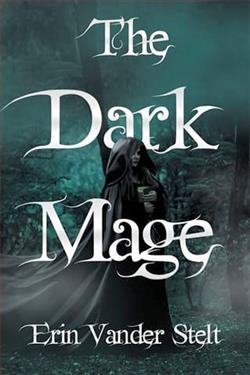 The Dark Mage by Erin Vander Stelt