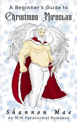 A Beginner's Guide to Christmas Miracles by Shannon Mae