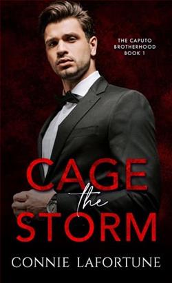 Cage the Storm by Connie Lafortune