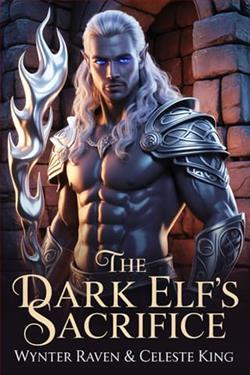 The Dark Elf's Sacrifice by Wynter Raven