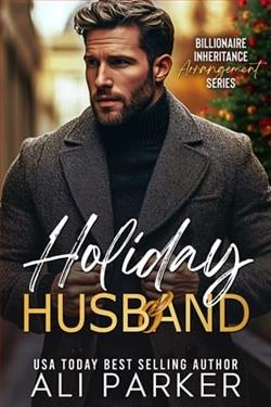 Holiday Husband by Ali Parker