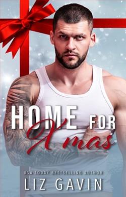 Home for Xmas by Liz Gavin