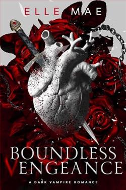 Boundless Vengeance by Elle Mae