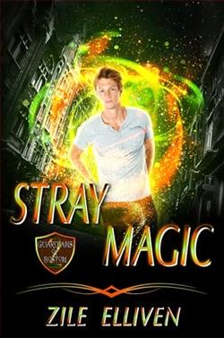 Stray Magic by Zile Elliven