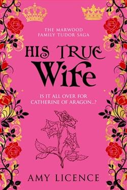 His True Wife by Amy Licence