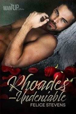 Rhoades—Undeniable by Felice Stevens