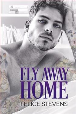 Fly Away Home by Felice Stevens