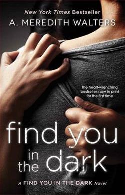 Find You in the Dark by A. Meredith Walters