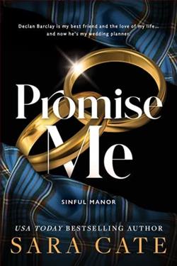 Promise Me by Sara Cate