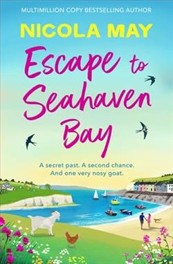 Escape to Seahaven Bay by Nicola May