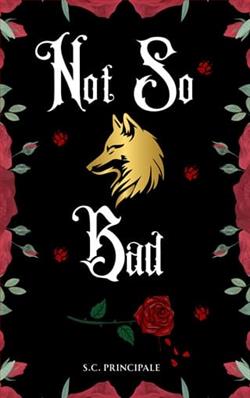 Not So Bad by S.C. Principale