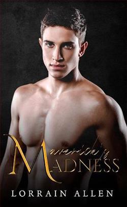 Maverick's Madness by Lorrain Allen