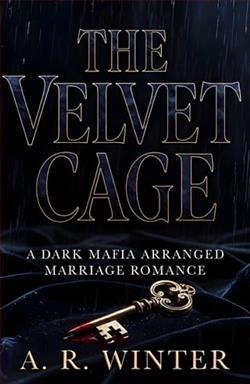 The Velvet Cage by A.R. Winter