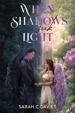When Shadows Seek Light by Sarah C. Davies