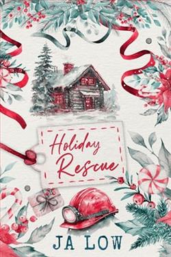 Holiday Rescue by J.A. Low