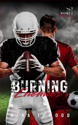 Burning Enemies by Mina Elwood