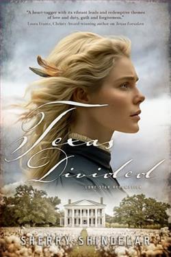 Texas Divided by Sherry Shindelar