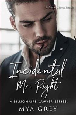 Incidental Mr. Right by Mya Grey
