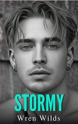 Stormy by Wren Wilds
