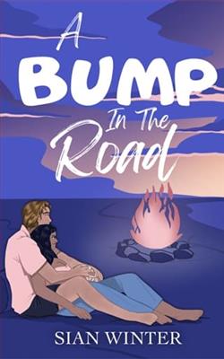 A Bump In The Road by Sian Winter