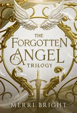 The Forgotten Angel Trilogy by Merri Bright