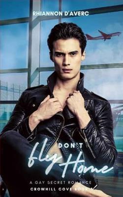 Don't Fly Home by Rhiannon D'Averc