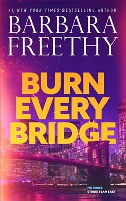 Burn Every Bridge by Barbara Freethy