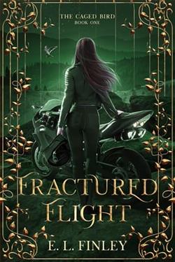 Fractured Flight by E.L. Finley
