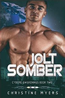 Jolt Somber by Christine Myers