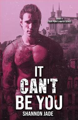 It Can't Be You by Shannon Jade