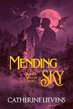 Mending Sky by Catherine Lievens
