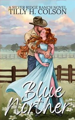 Blue Norther by Tilly H. Colson