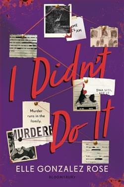 I Didn't Do It by Elle Gonzalez Rose
