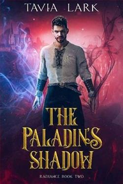 The Paladin's Shadow by Tavia Lark